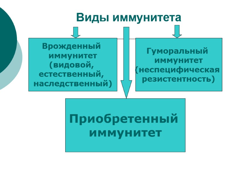 Виды иммунитета  Врожденный  иммунитет (видовой,  естественный,  наследственный)  Гуморальный 